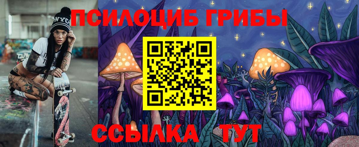 Галлюциногенные грибы мухоморы  Вход с VPN  Пугачёв  Псилоцибиновые грибы прущие грибы 