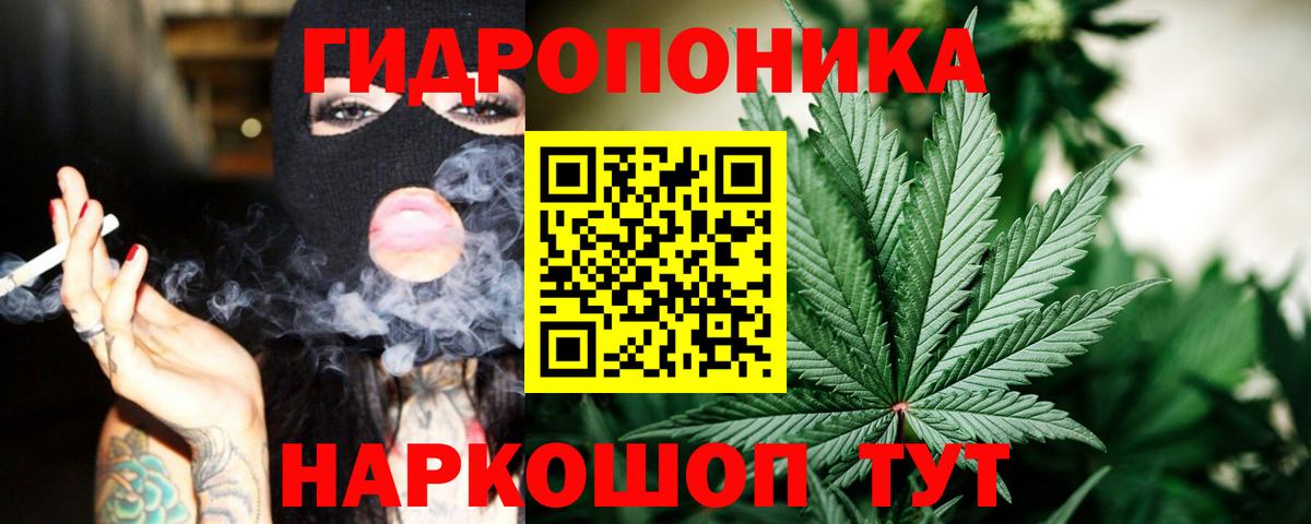 Бошки марихуана сатива  Конопля Bruce Banner  Вход с VPN  Марихуана семена  Каннабис марихуана  Пугачёв 
